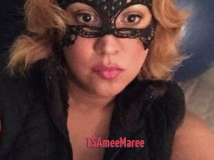 TSAmeeMaree