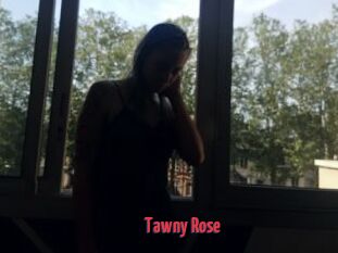 Tawny_Rose