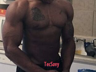 TecSavy