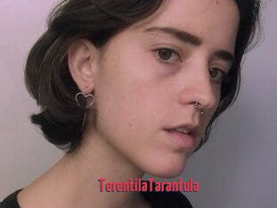 TerentilaTarantula