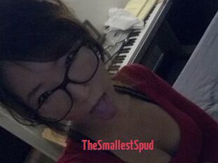 TheSmallestSpud