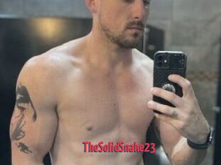 TheSolidSnake23