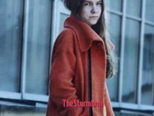 TheStormborn