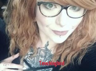 Tmockingbird