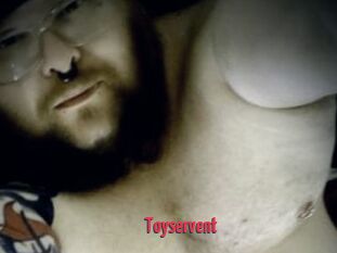 Toyservent