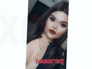 TsBIGBOOTYDICK