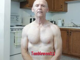 Tumbleweed13