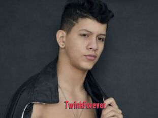 TwinkForever