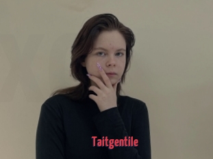 Taitgentile