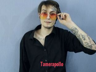 Tamerapollo