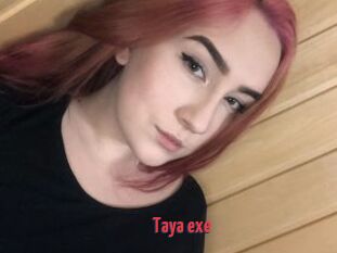 Taya_exe
