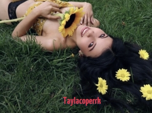 Taylacoperrk