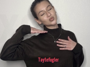 Taytefugler