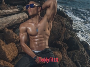 Teddyfit19