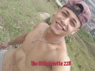 The_little_bruette_228