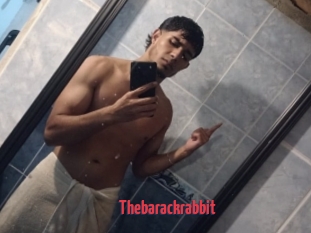 Thebarackrabbit