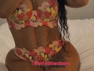 Thewelshbrownbunny