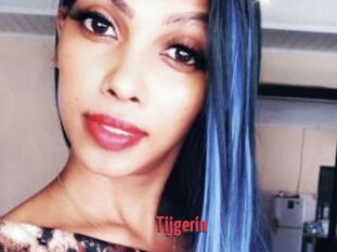 Tijgerin