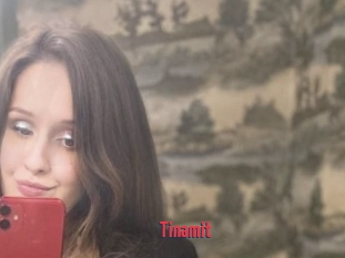 Tinamit