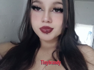 Tinybrandy