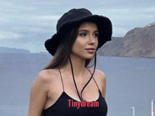 Tinydream