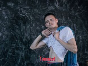 Tommcat