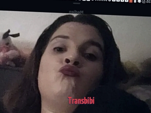 Transbibi