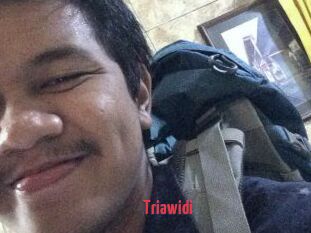 Triawidi