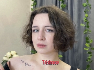 Trishrose