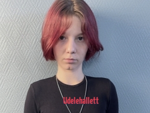 Udelehallett