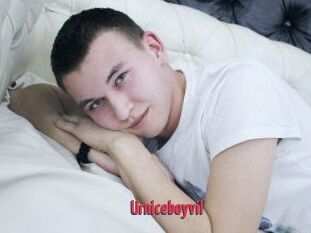 Urniceboyvil