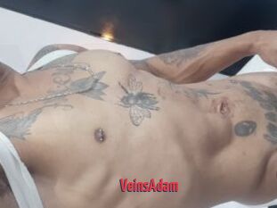 VeinsAdam