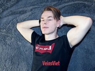 VeinsViet