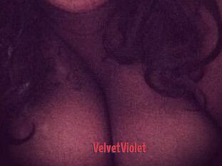 VelvetViolet