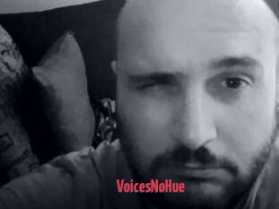VoicesNoHue