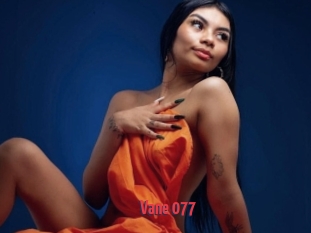 Vane_077