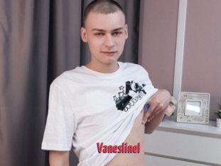 Vaneslinel