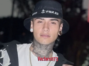 Vectorx073