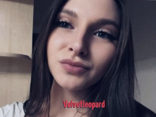 Velvetleopard