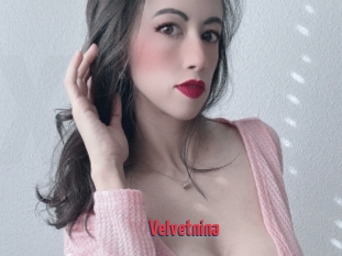 Velvetnina