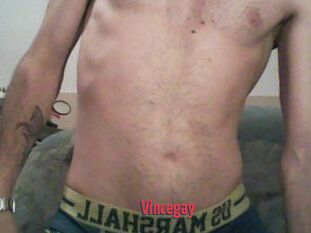 Vincegay