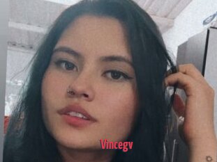 Vincegv