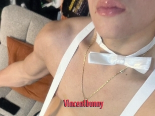 Vincentbunny