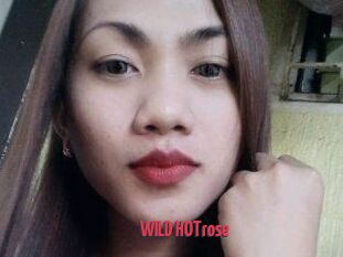 WILD_HOTrose