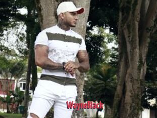 WayneBlack