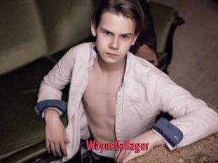 WayneGallager