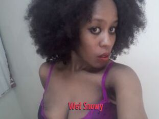 Wet_Snowy