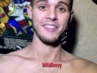WildDavey