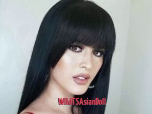 WildTSAsianDoll