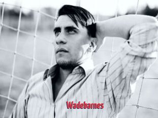 Wadebarnes